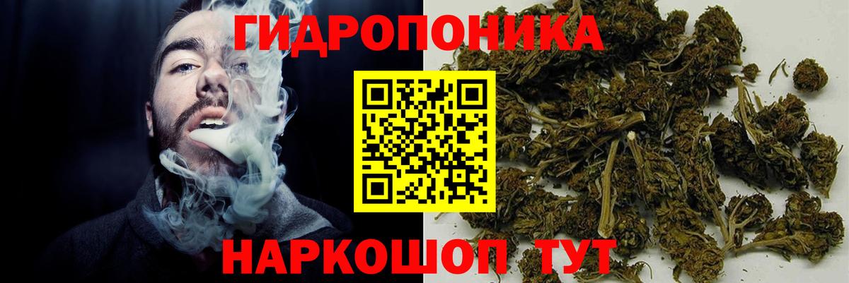 Каннабис OG Kush  Вход с VPN  Кумертау  Бошки Шишки семена 